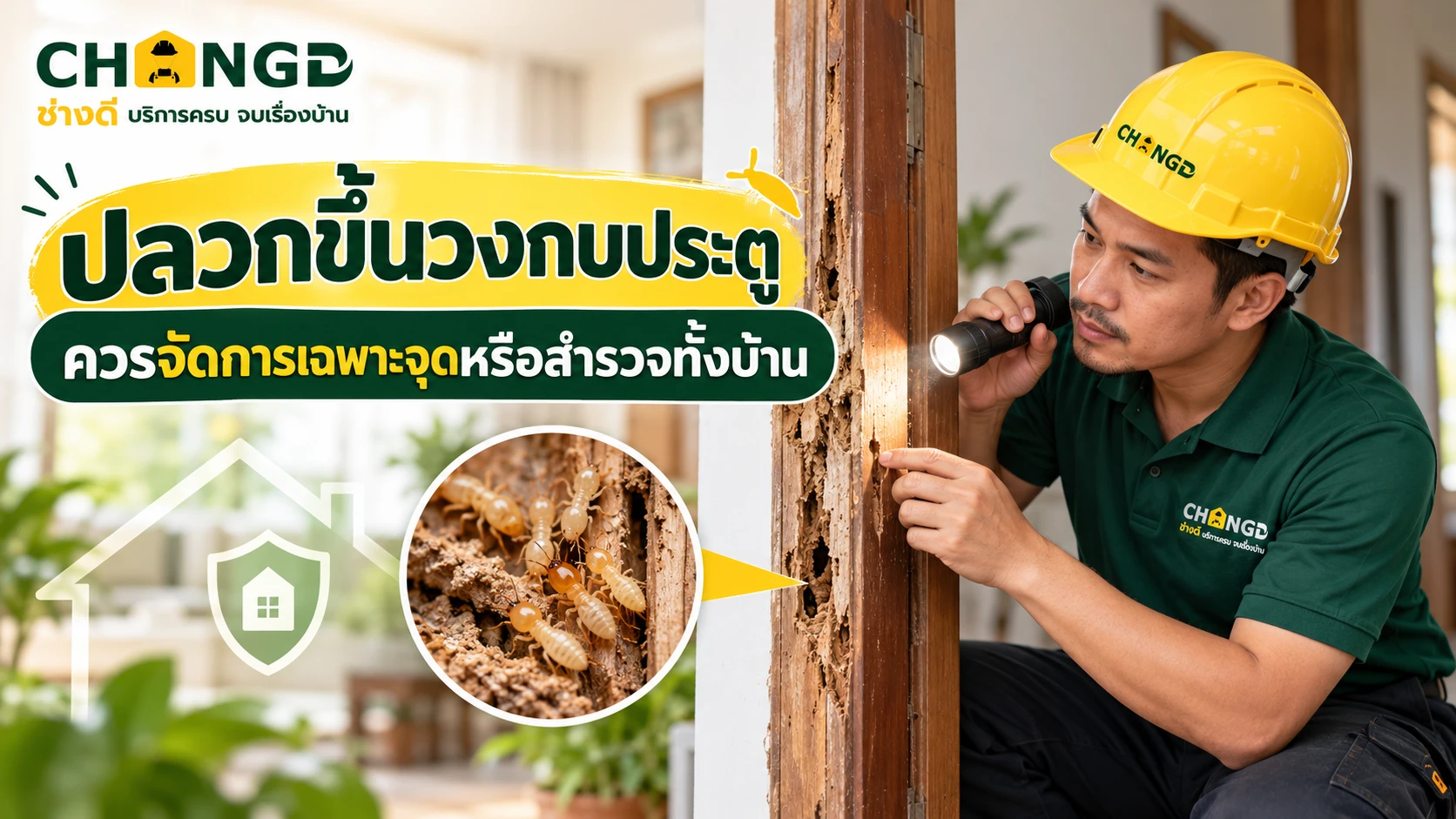 ปลวกขึ้นวงกบประตู ควรจัดการเฉพาะจุดหรือสำรวจทั้งบ้าน