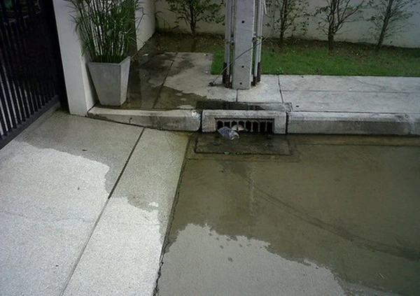 1321585581.webp